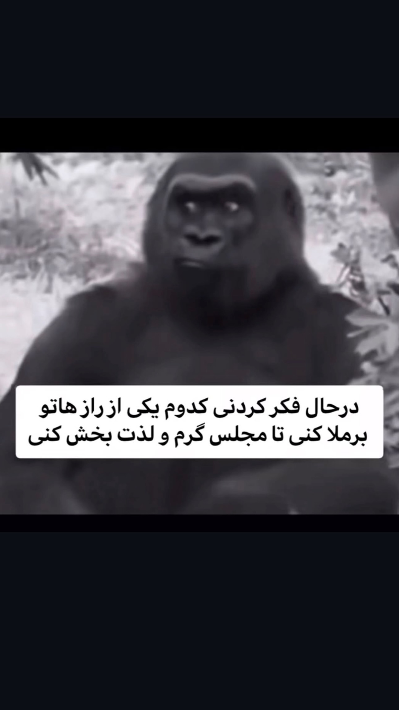  جدید ترین استوری اینستاگرام امانسا