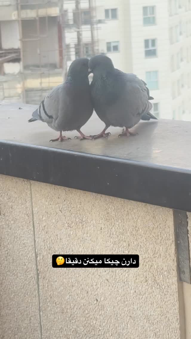  جدید ترین استوری اینستاگرام امانسا