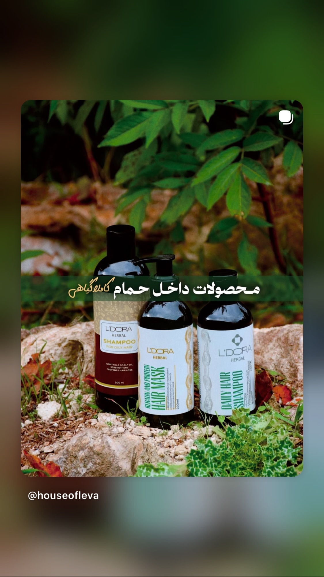  جدید ترین استوری اینستاگرام امانسا