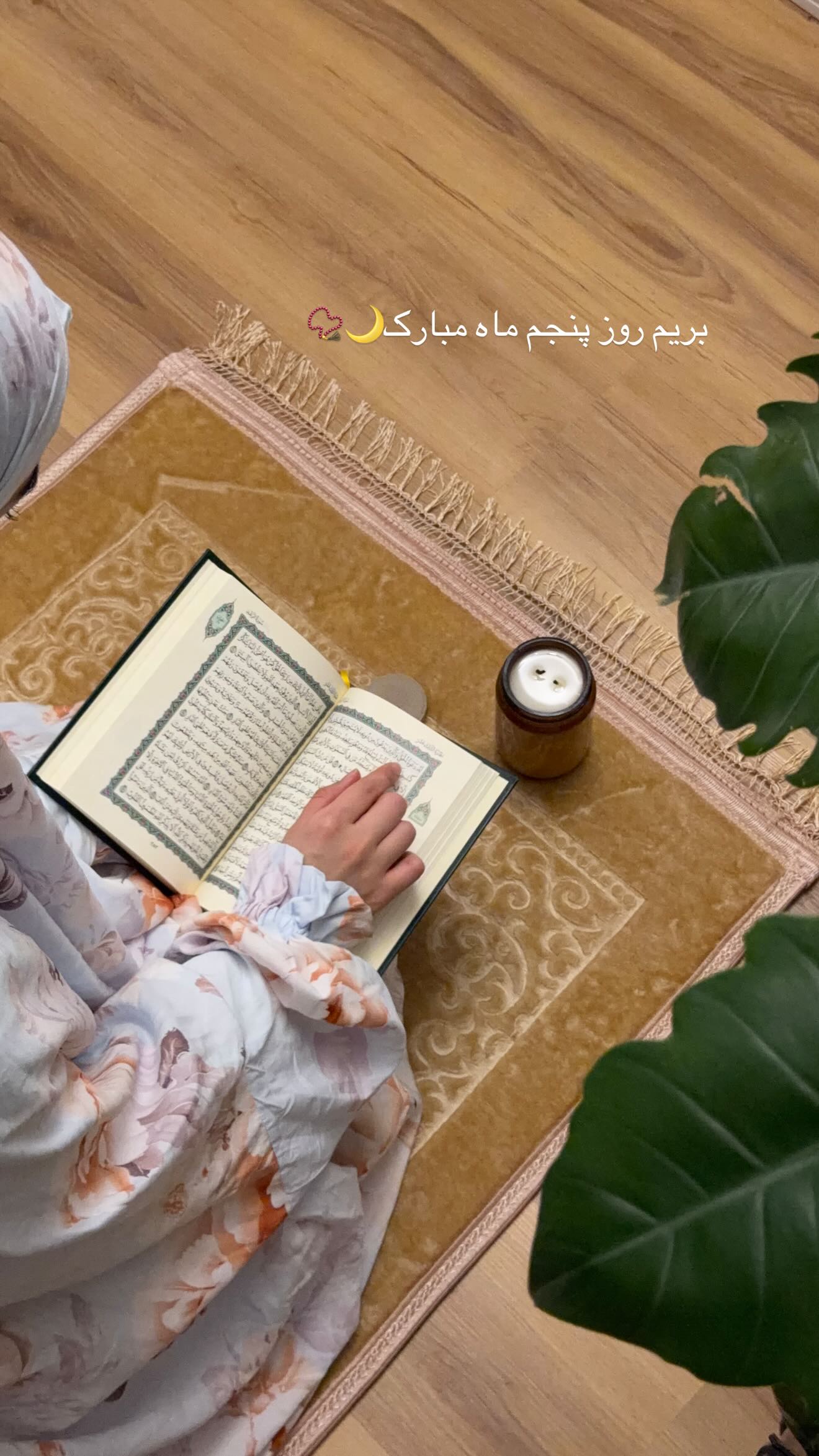  جدید ترین استوری اینستاگرام سارا