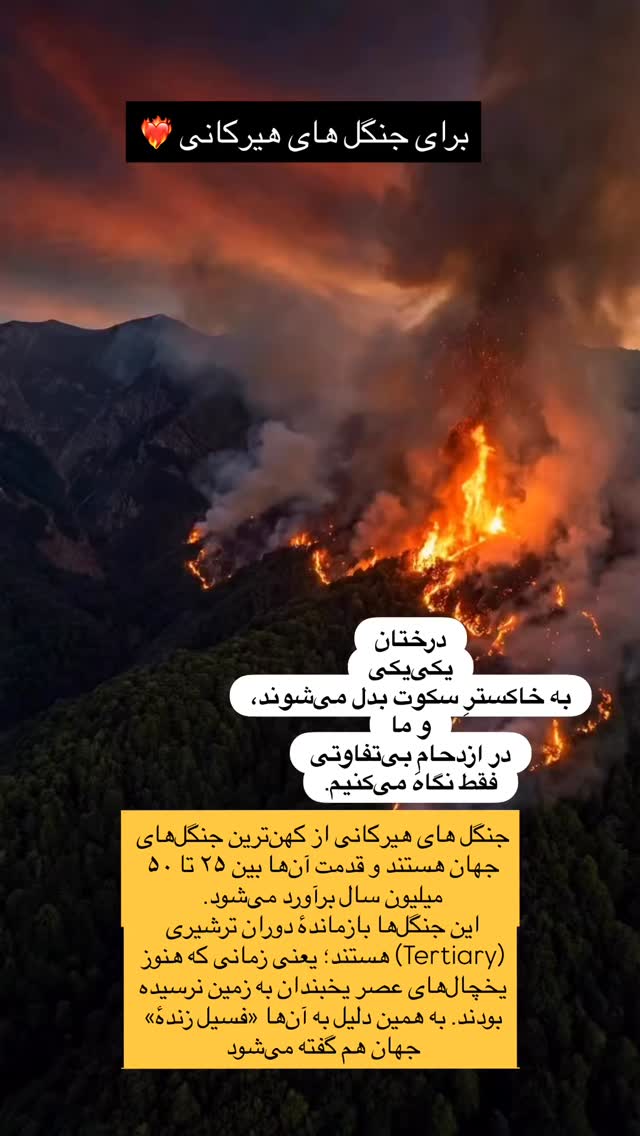  جدید ترین استوری اینستاگرام فاطمه زهرا سیدان