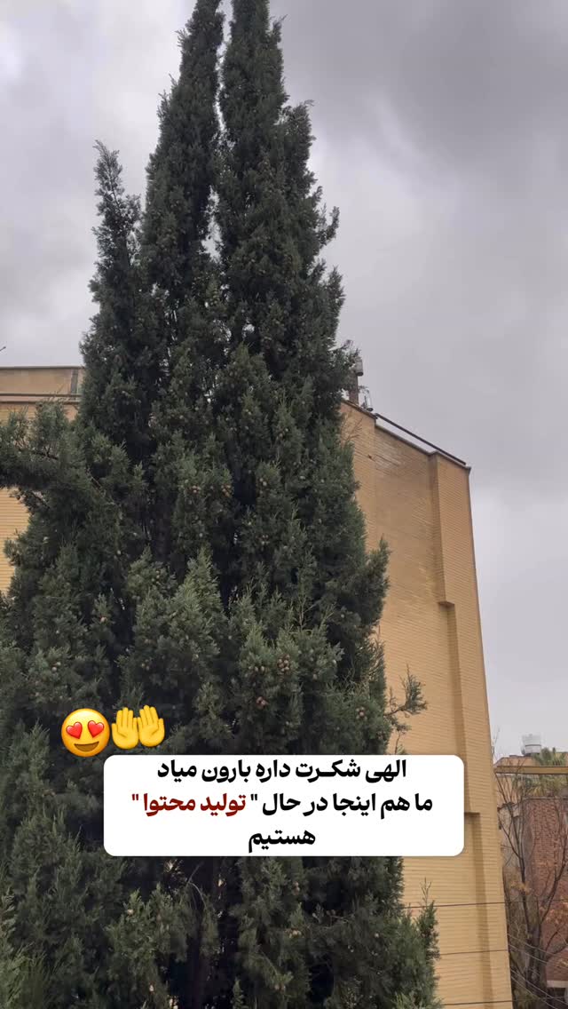  جدید ترین استوری اینستاگرام فاطمه زهرا سیدان