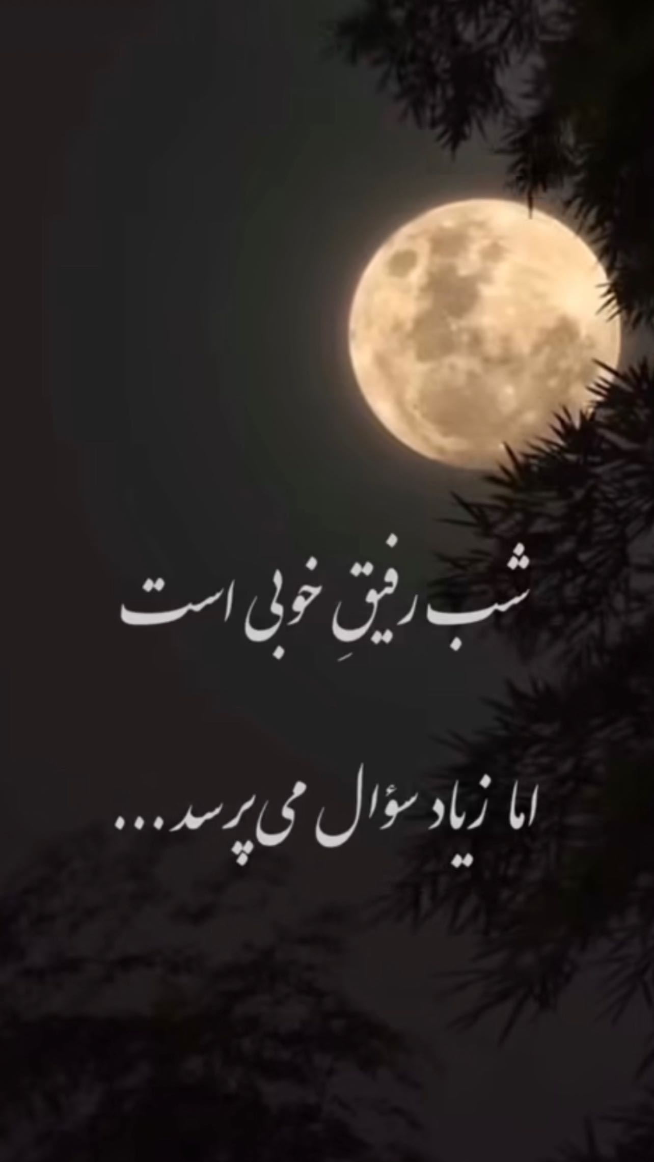  جدید ترین استوری اینستاگرام فاطمه زهرا سیدان