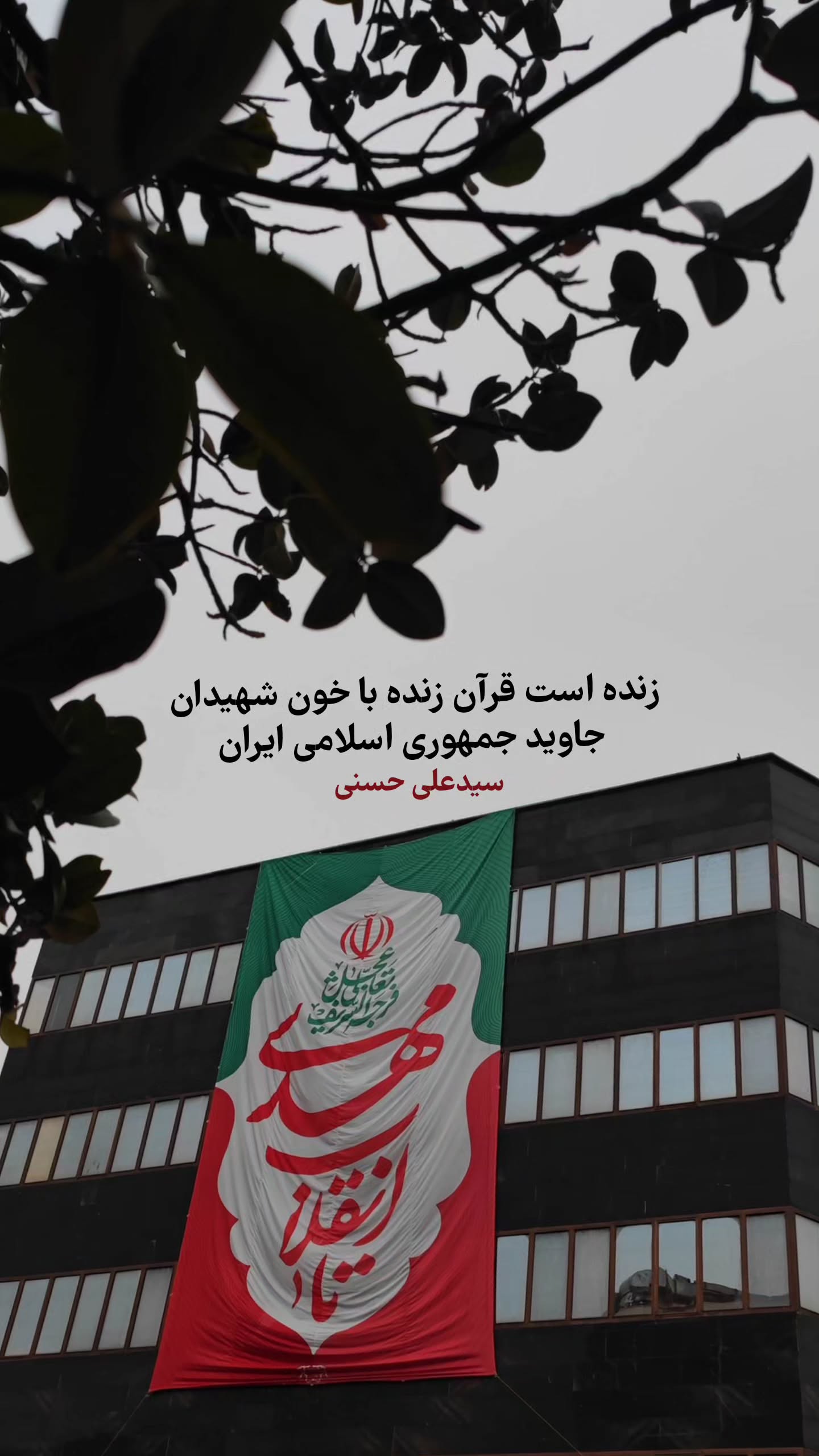  جدید ترین استوری اینستاگرام سید علی حسنی