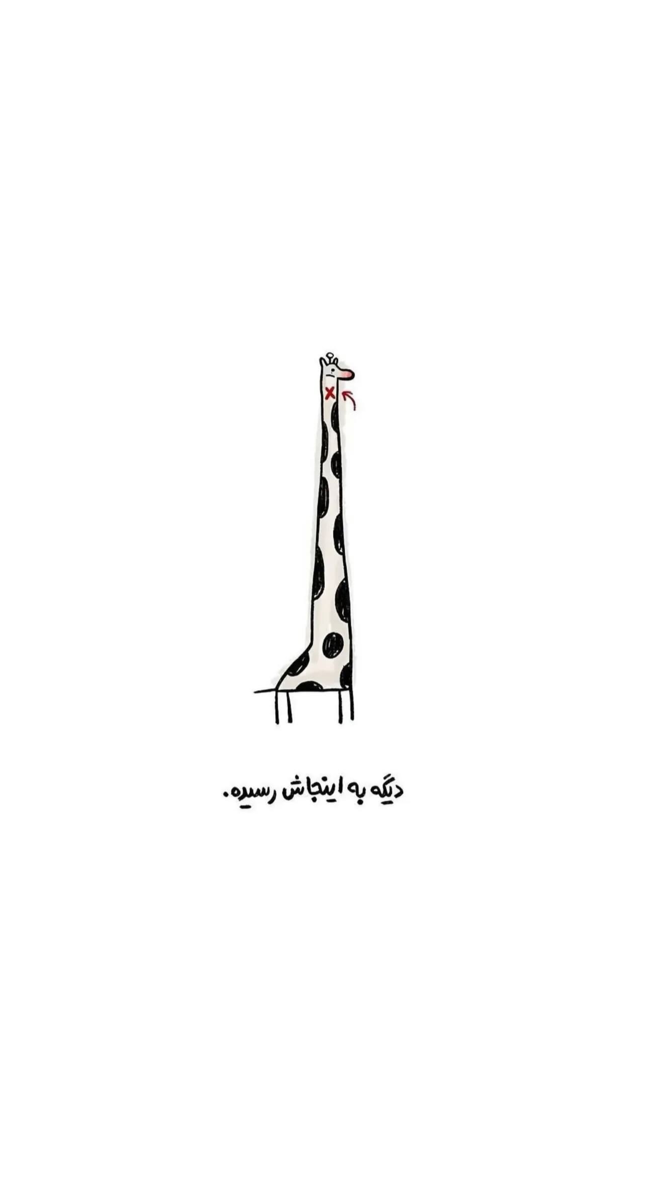  جدید ترین استوری اینستاگرام سپیده توکلی نیک