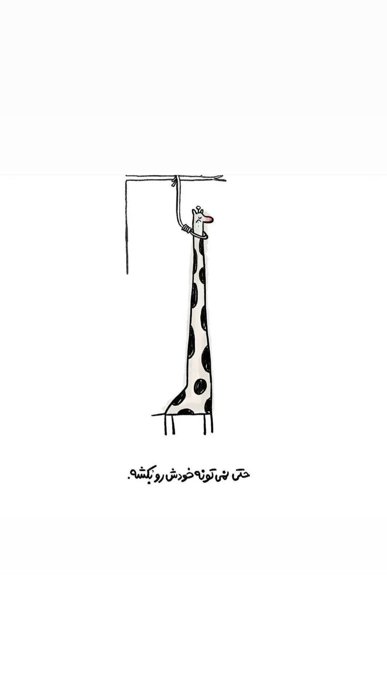  جدید ترین استوری اینستاگرام سپیده توکلی نیک