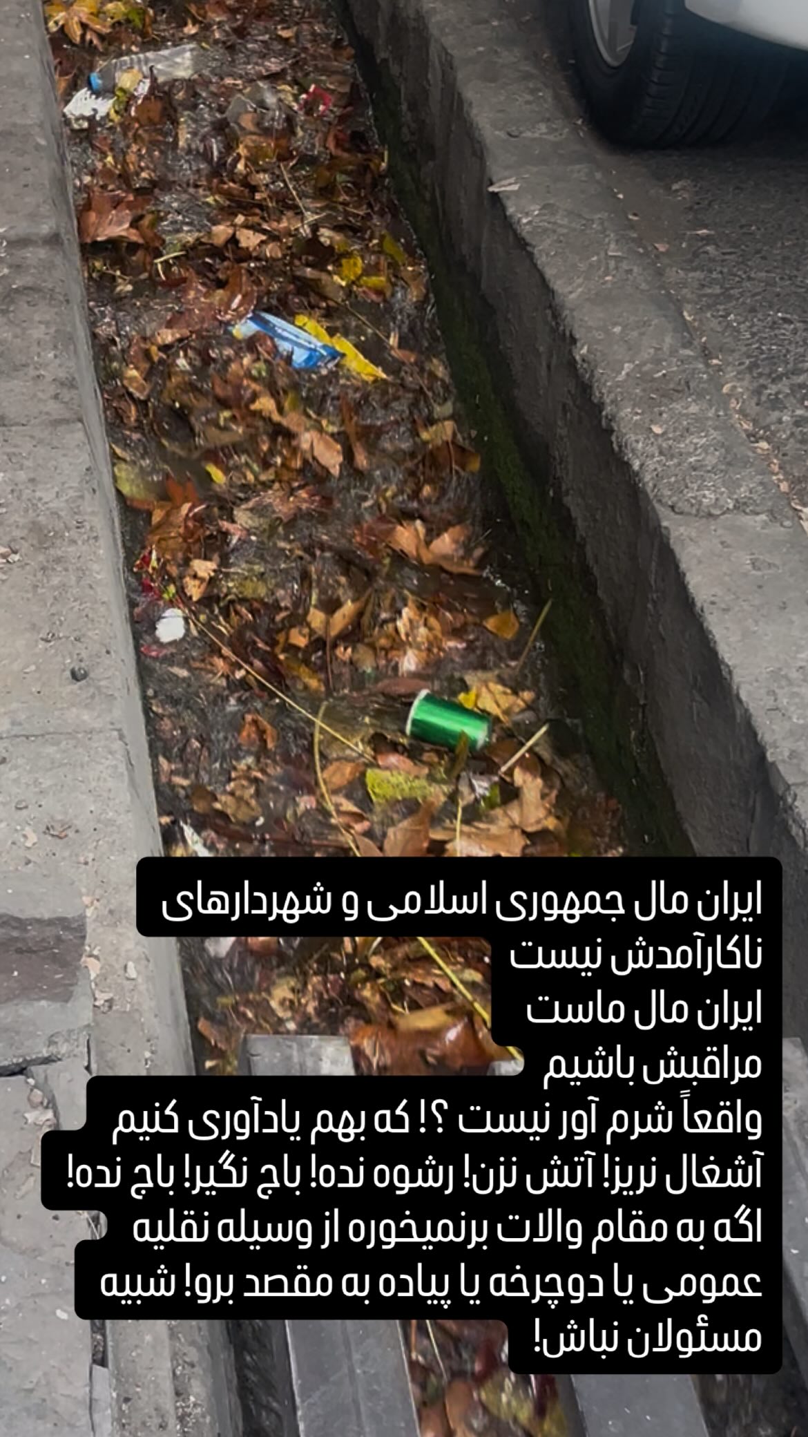  جدید ترین استوری اینستاگرام سپیده گلچین