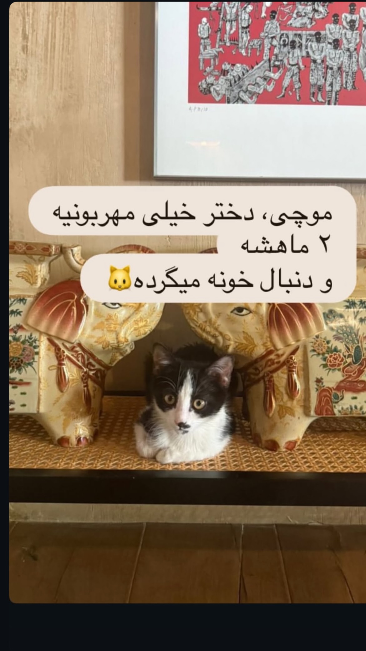  جدید ترین استوری اینستاگرام سپید زرین راد