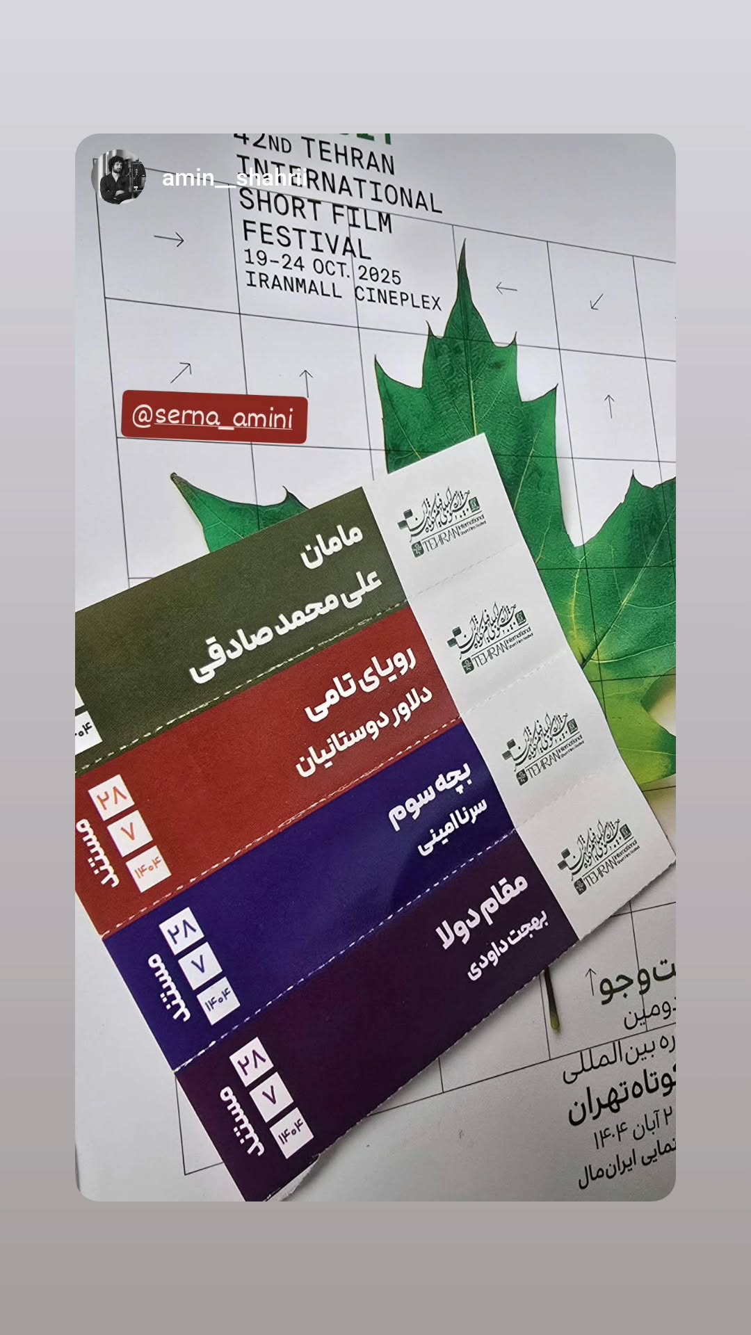  جدید ترین استوری اینستاگرام سرنا امینی