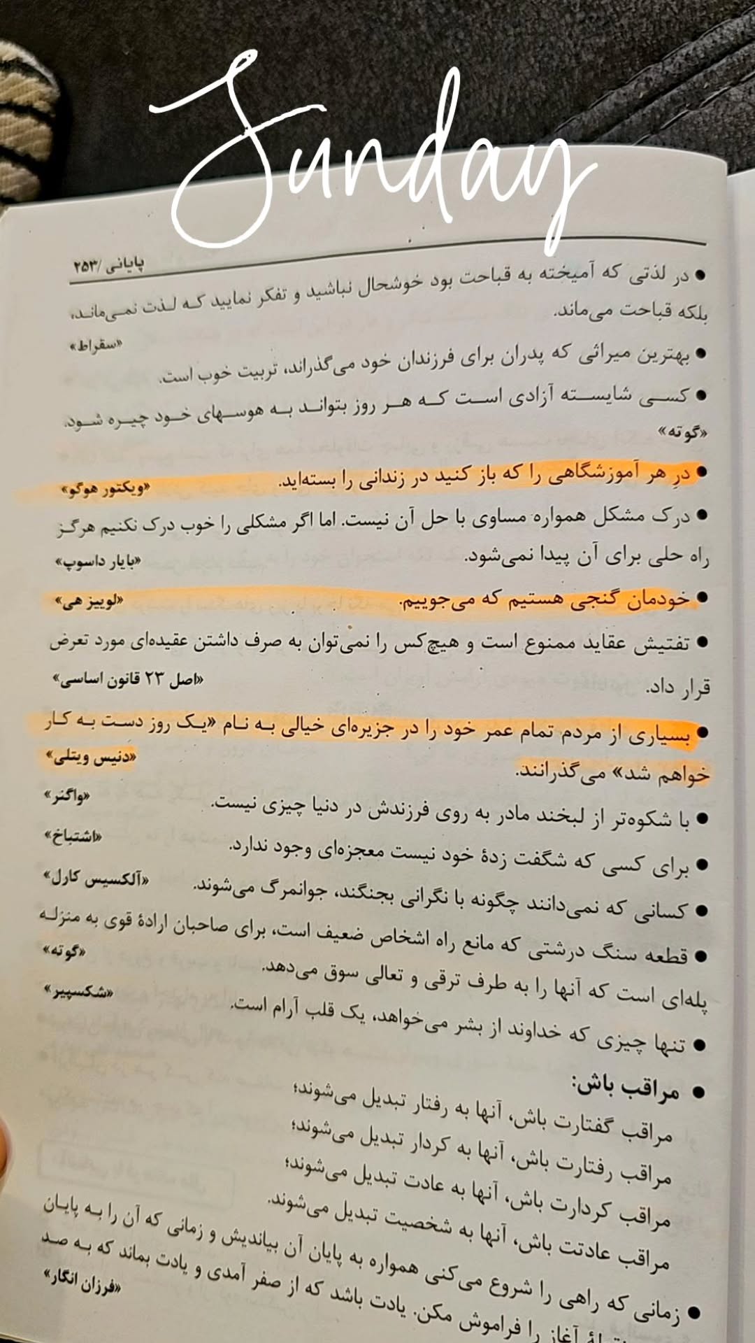  جدید ترین استوری اینستاگرام سرنا امینی