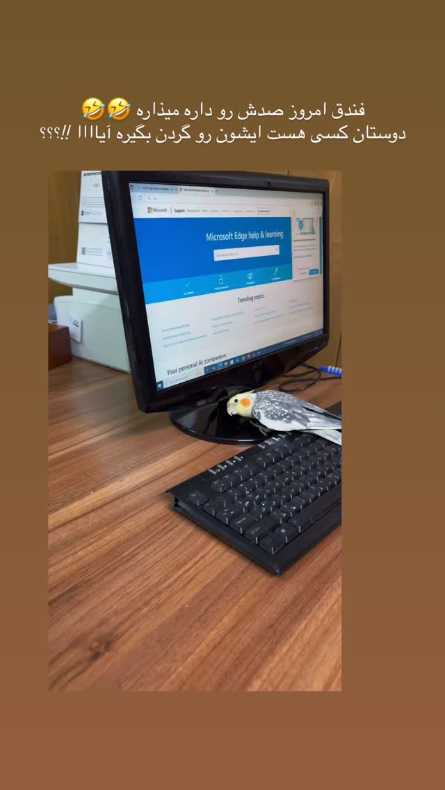  جدید ترین استوری اینستاگرام ستاره بهداروند