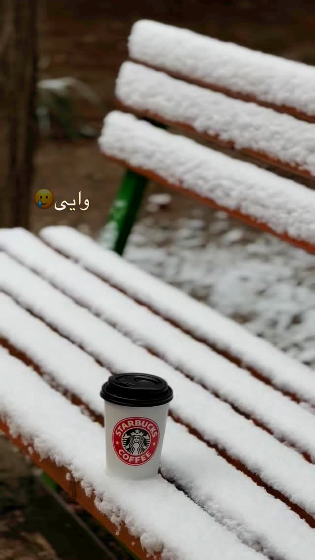  جدید ترین استوری اینستاگرام ستاره داودی
