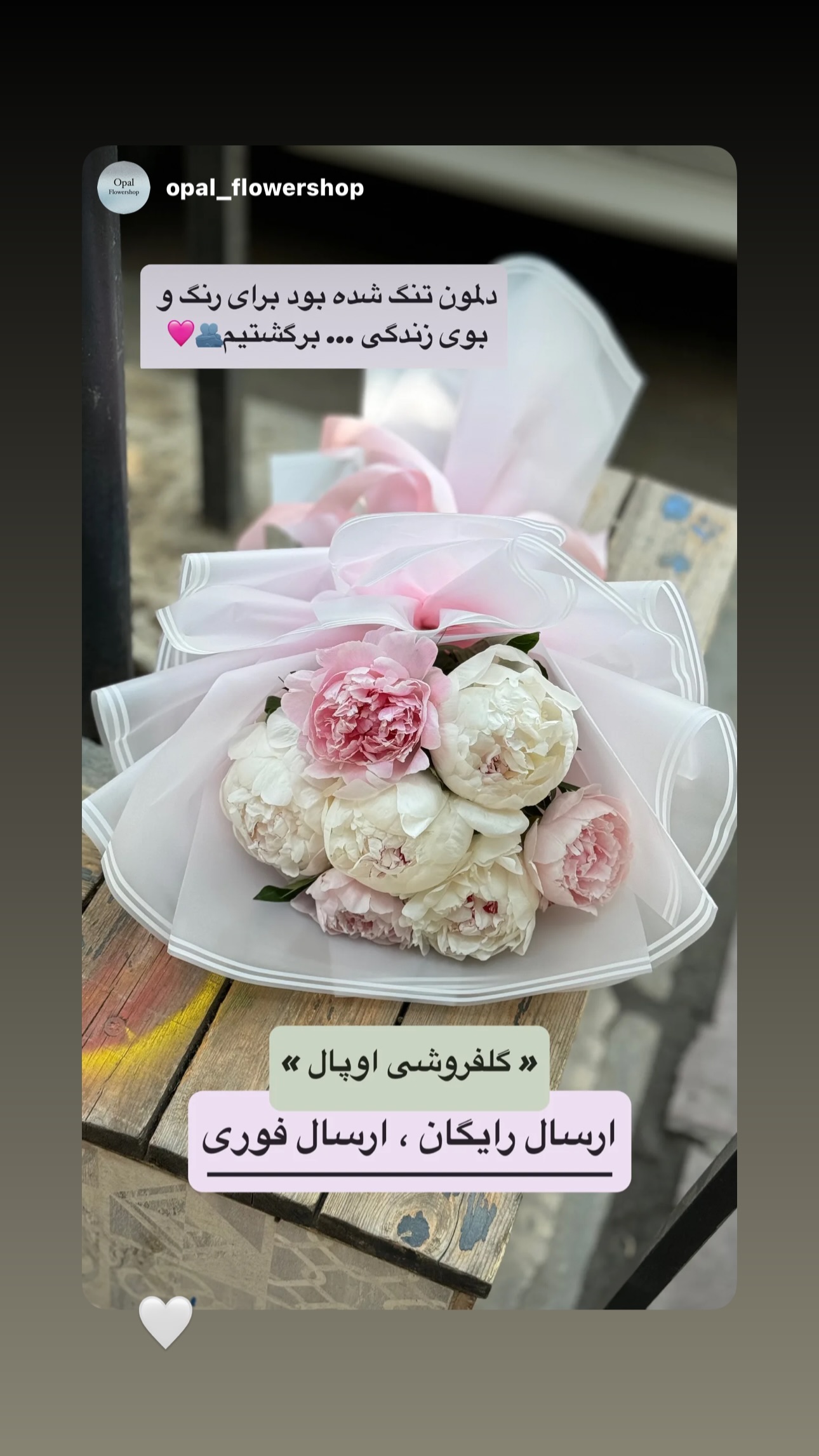  جدید ترین استوری اینستاگرام ستاره داودی