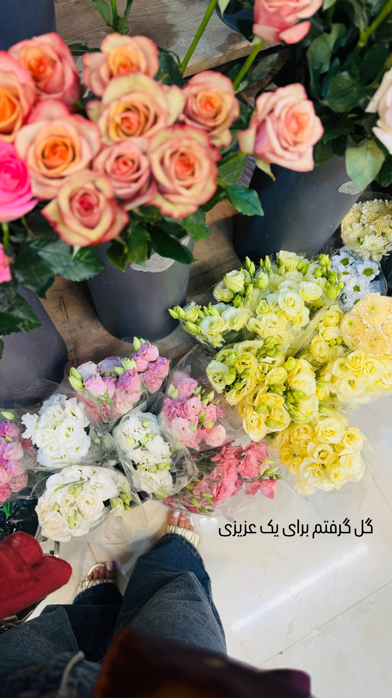  جدید ترین استوری اینستاگرام ستاره داودی