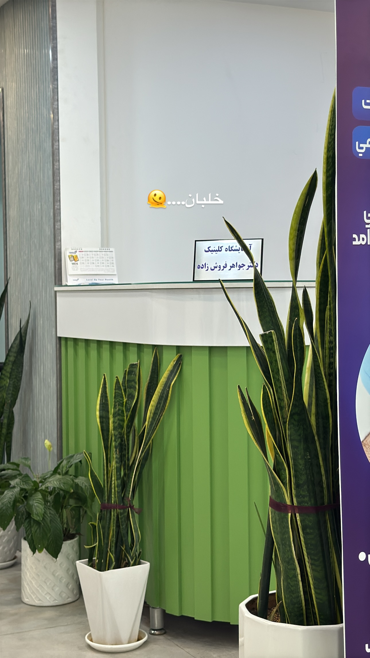  جدید ترین استوری اینستاگرام ستاره داودی
