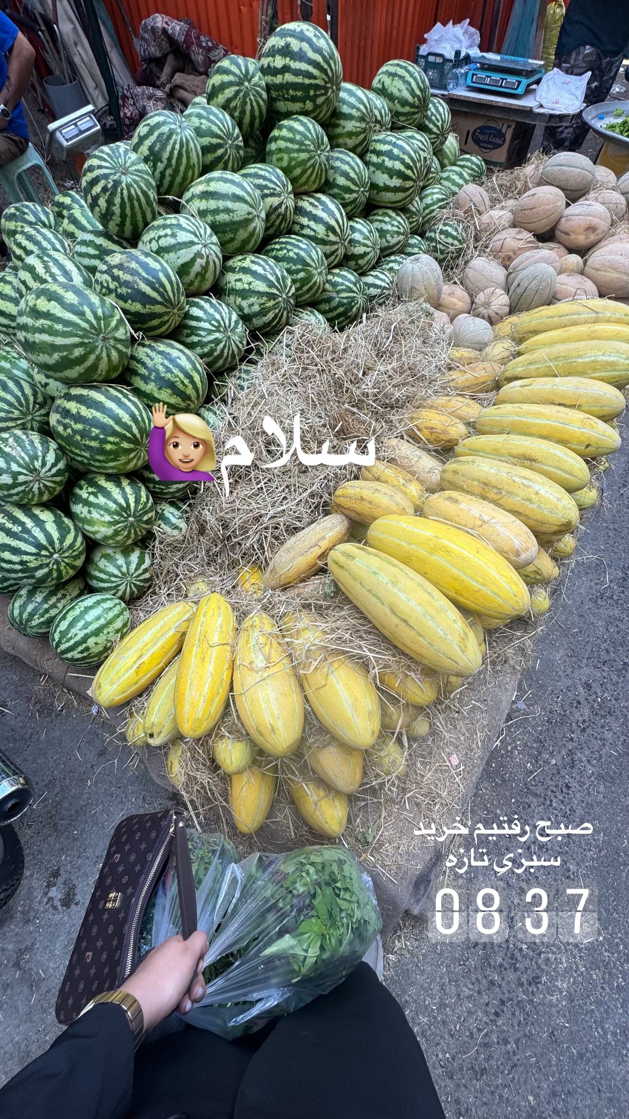  جدید ترین استوری اینستاگرام ستاره داودی
