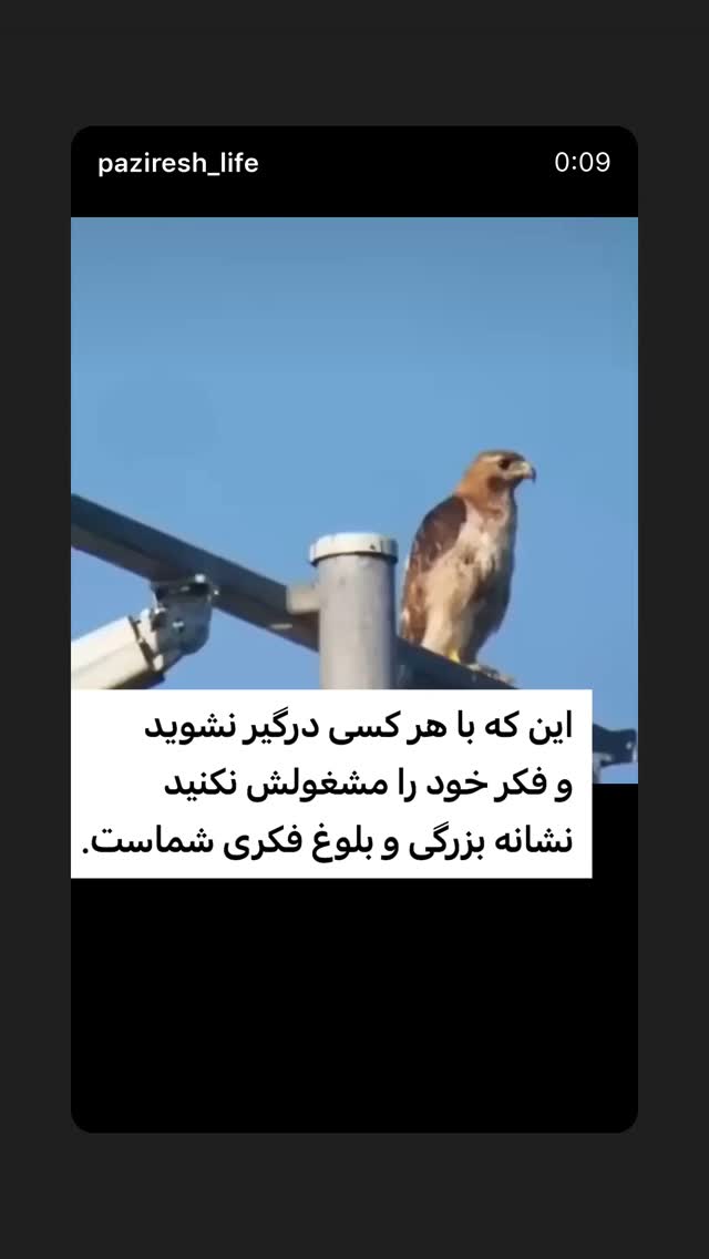  جدید ترین استوری اینستاگرام ستاره داودی