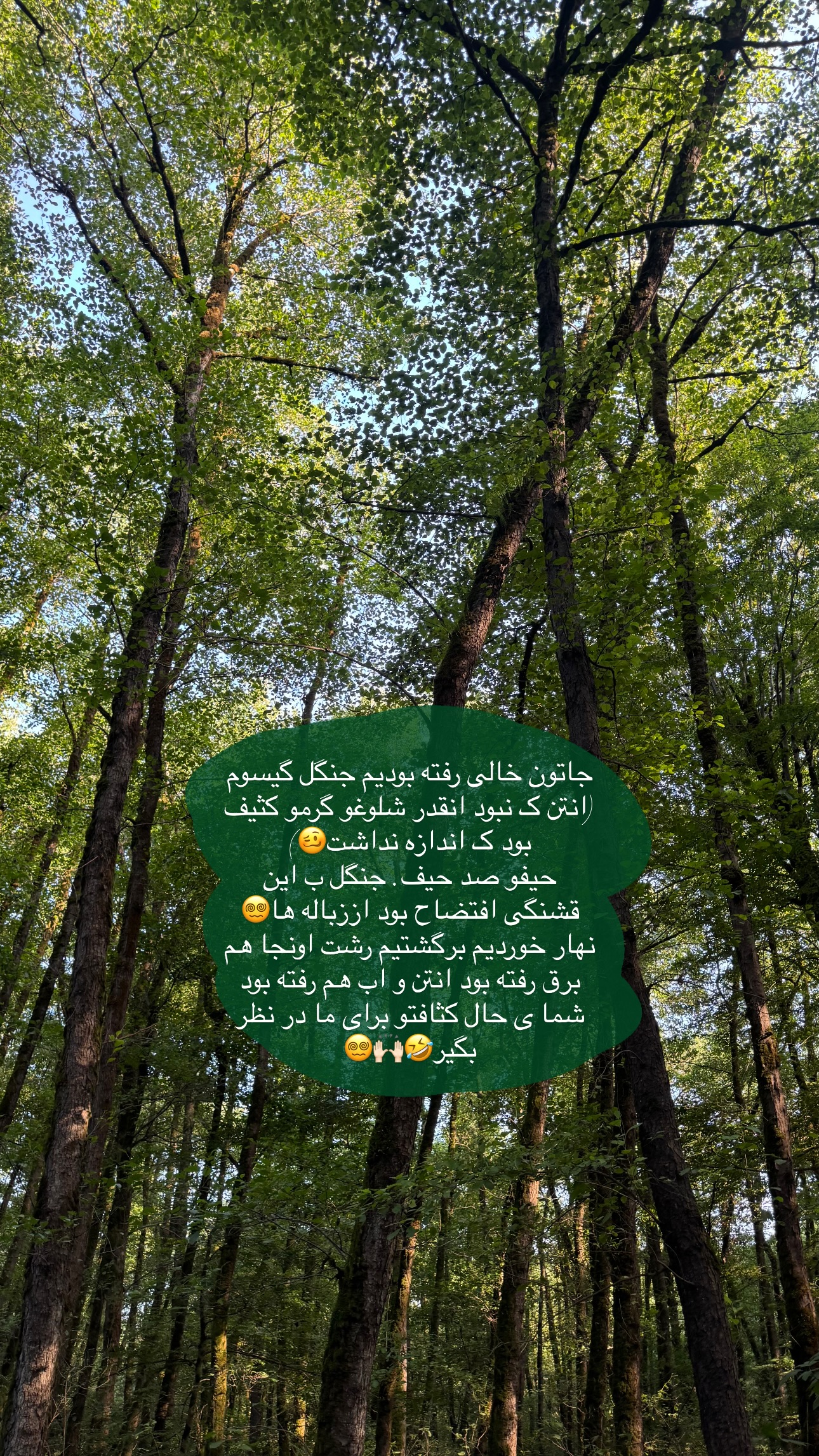  جدید ترین استوری اینستاگرام ستاره داودی