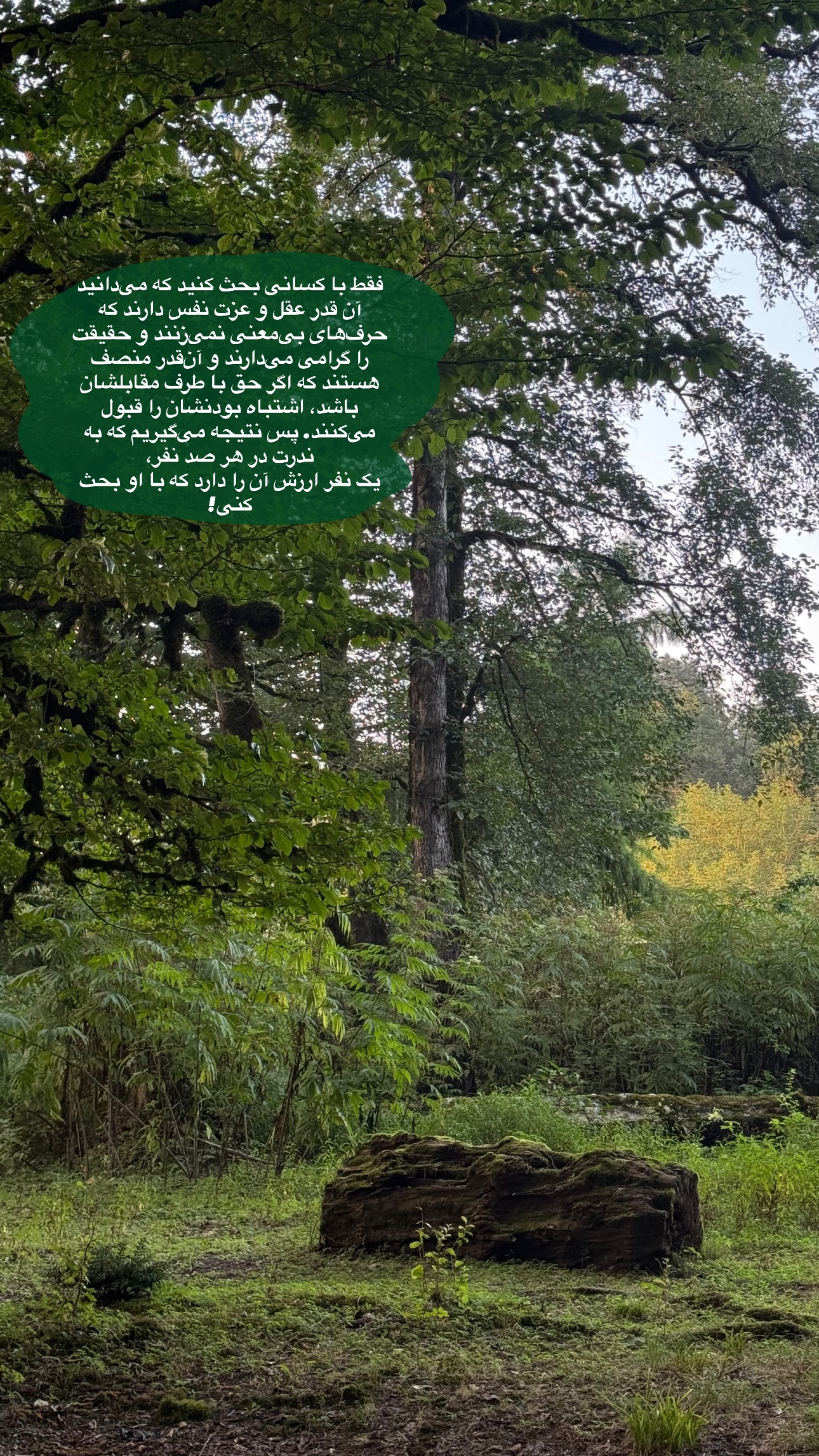  جدید ترین استوری اینستاگرام ستاره داودی