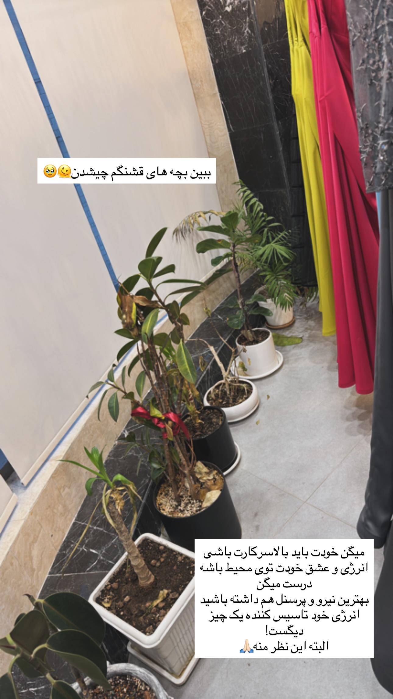  جدید ترین استوری اینستاگرام ستاره داودی