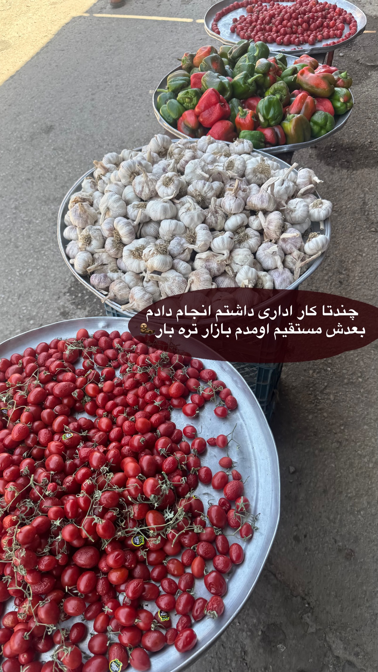  جدید ترین استوری اینستاگرام ستاره داودی