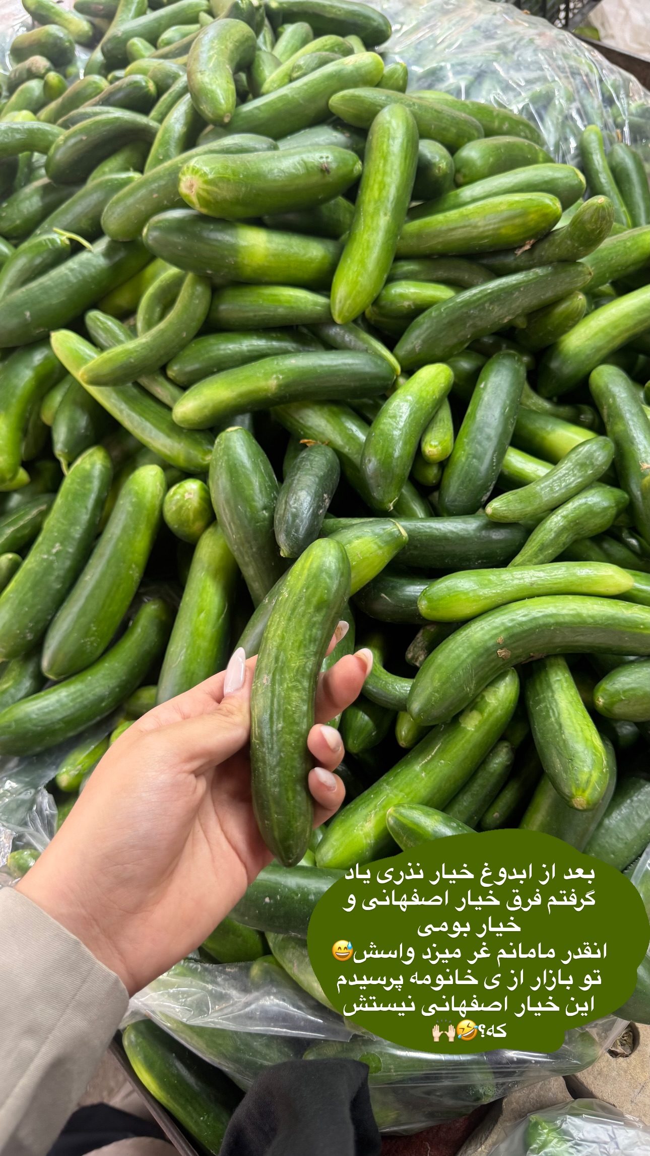  جدید ترین استوری اینستاگرام ستاره داودی