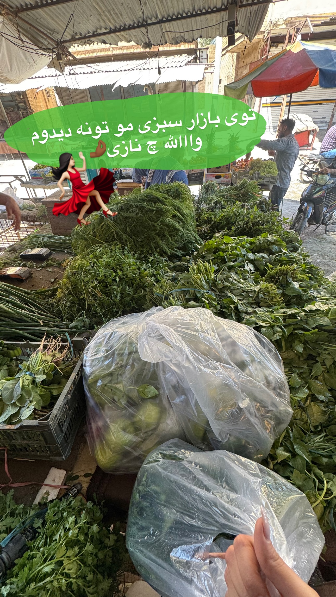 جدید ترین استوری اینستاگرام ستاره داودی