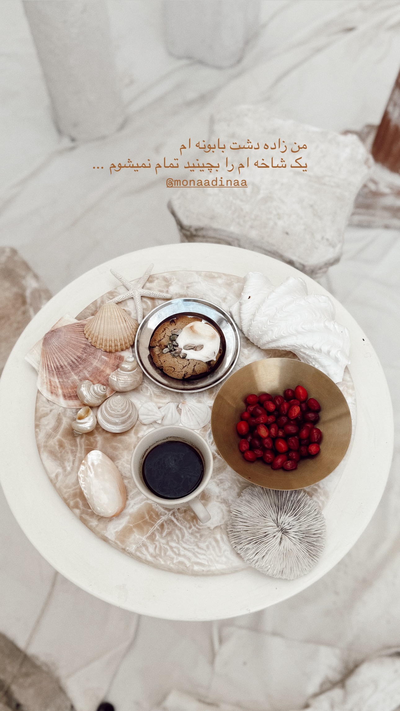  جدید ترین استوری اینستاگرام ستاره داودی