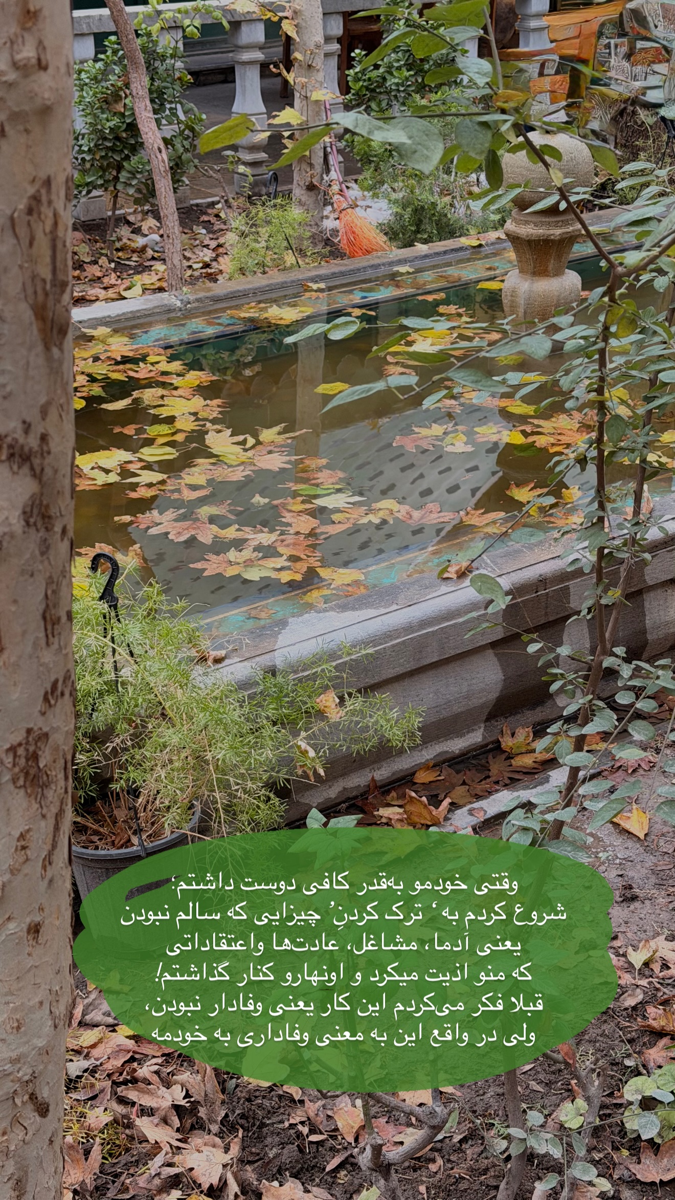  جدید ترین استوری اینستاگرام ستاره داودی