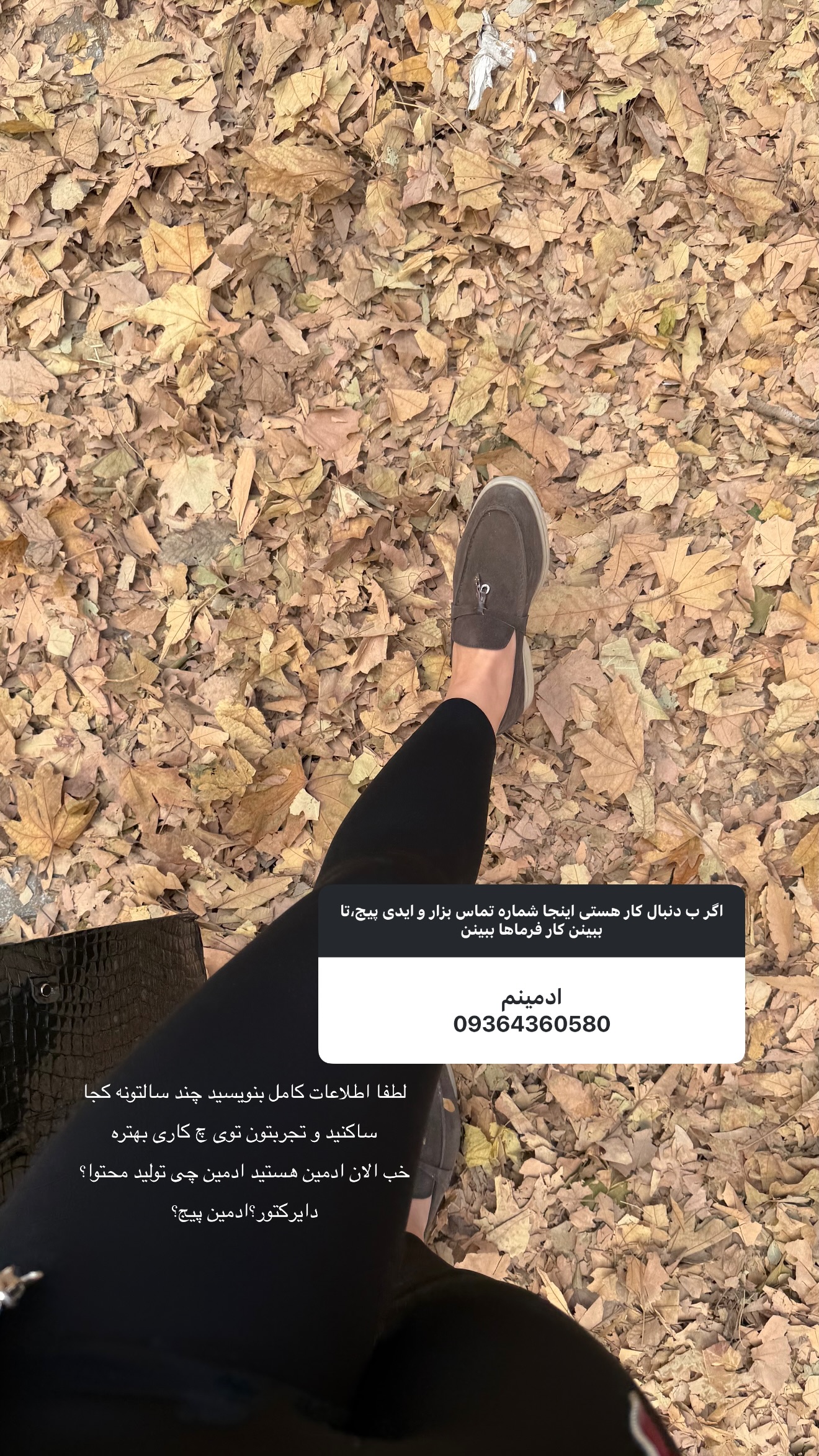  جدید ترین استوری اینستاگرام ستاره داودی