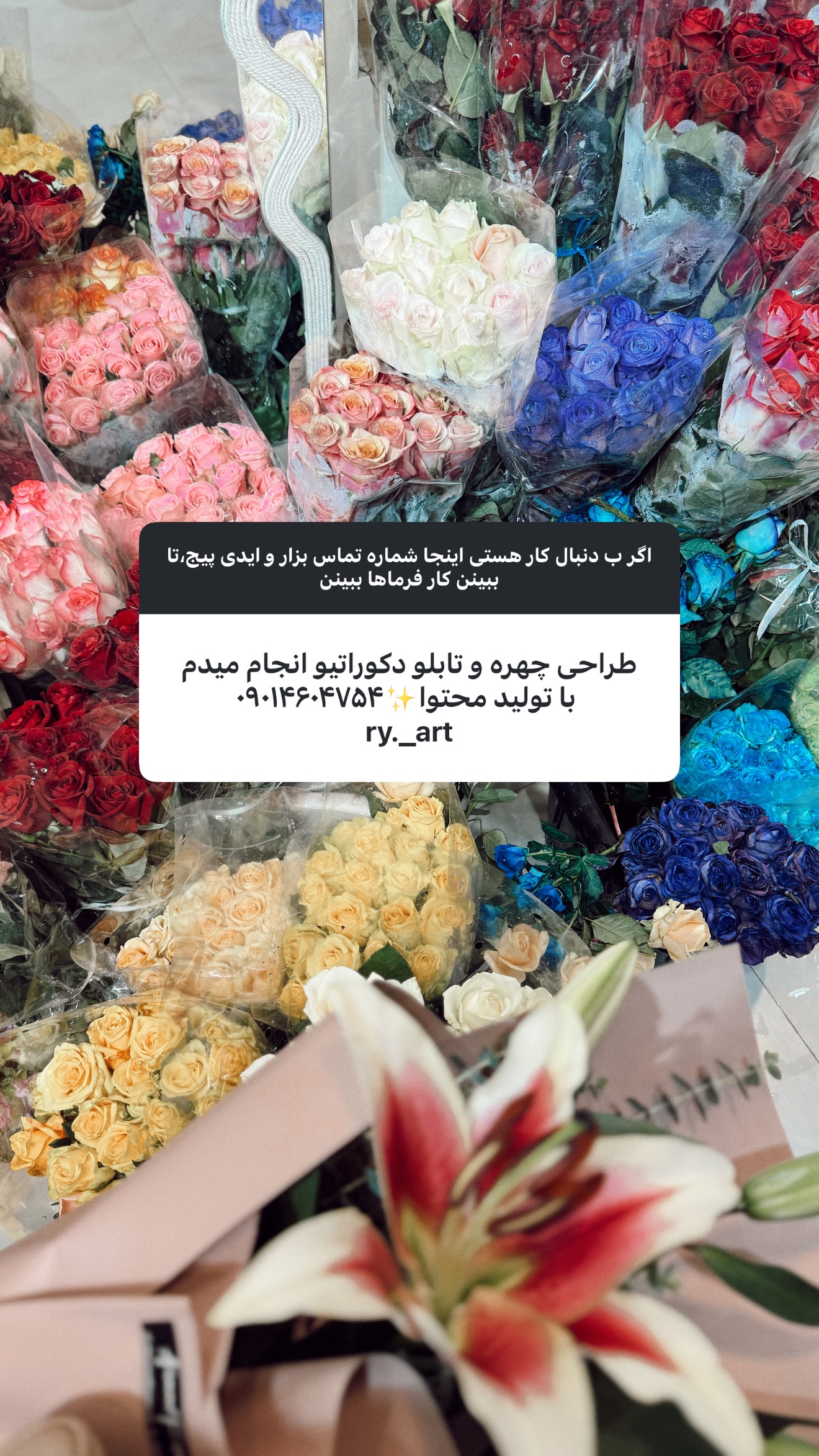  جدید ترین استوری اینستاگرام ستاره داودی
