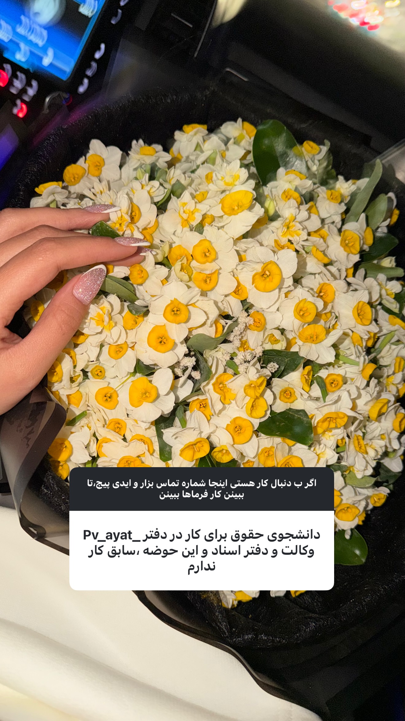  جدید ترین استوری اینستاگرام ستاره داودی