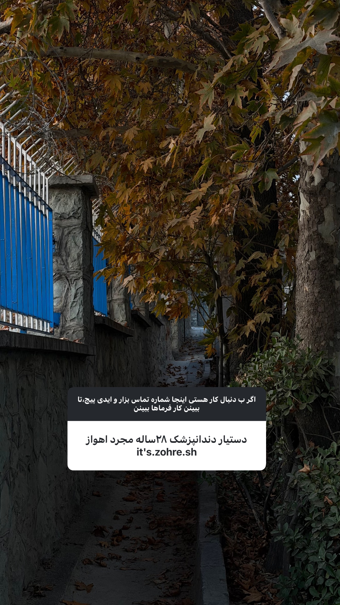  جدید ترین استوری اینستاگرام ستاره داودی