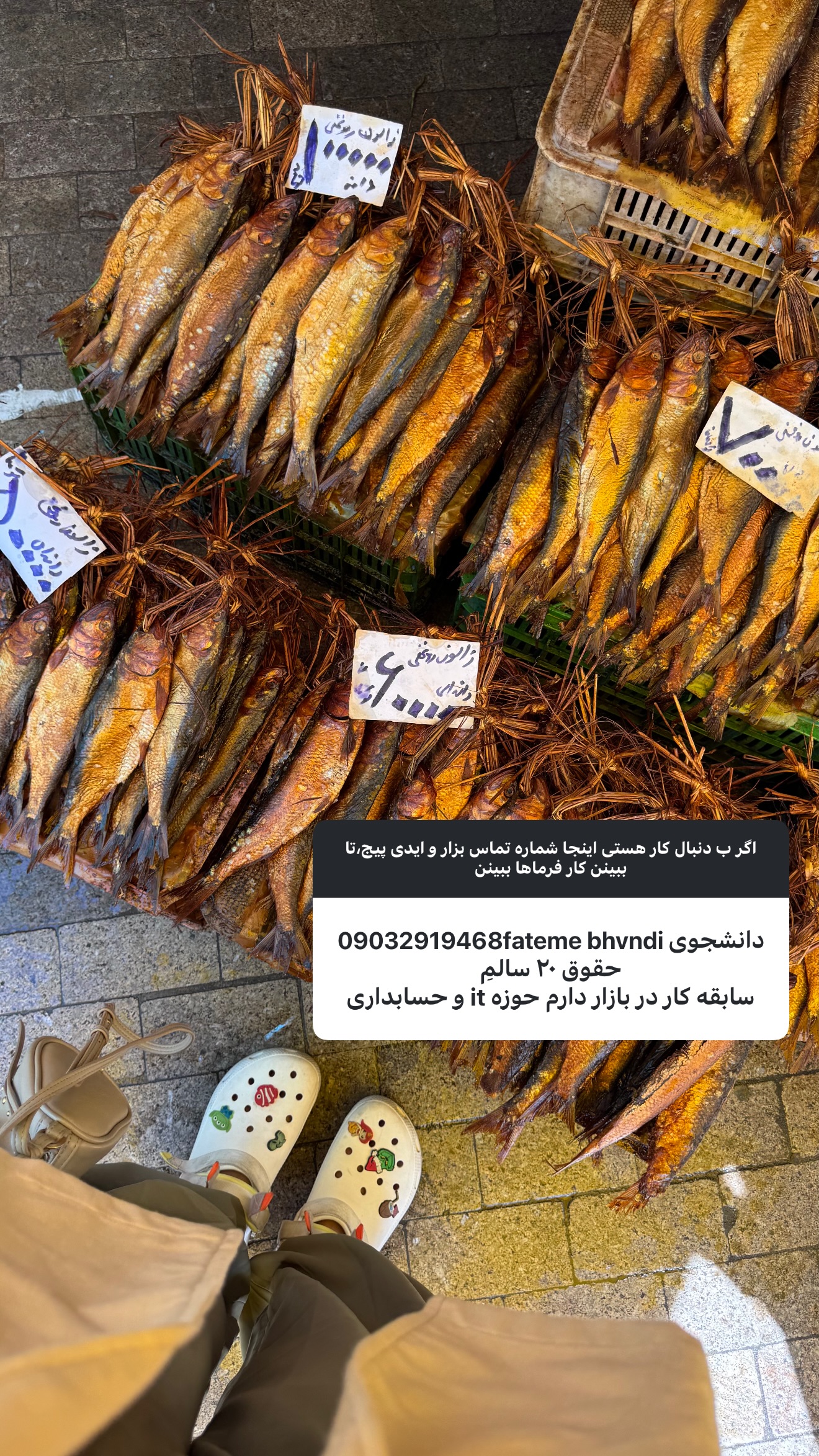 جدید ترین استوری اینستاگرام ستاره داودی