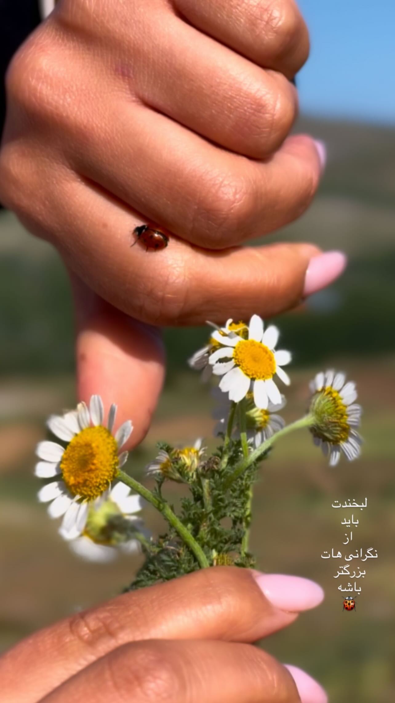  جدید ترین استوری اینستاگرام ستاره معصومی