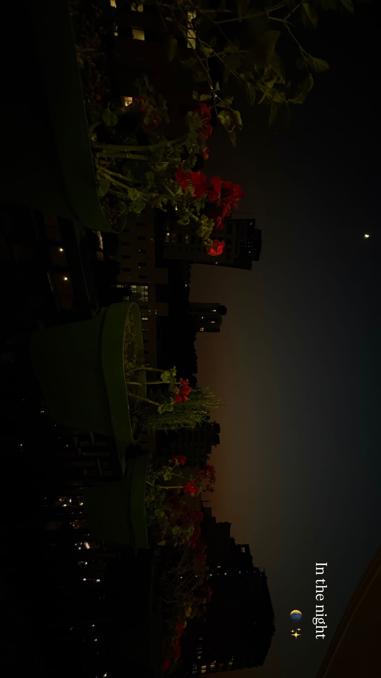  جدید ترین استوری اینستاگرام ستاره معصومی