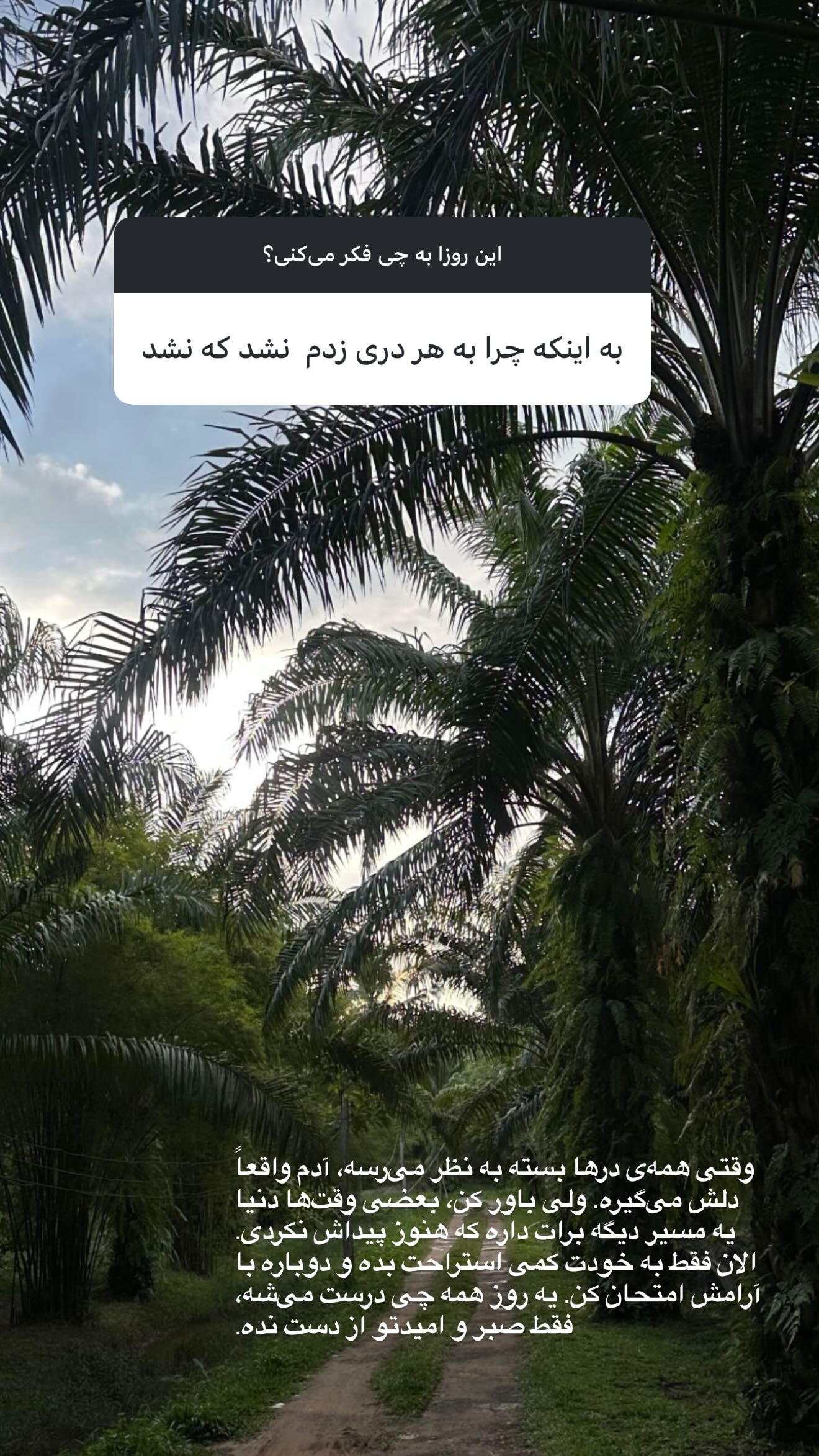  جدید ترین استوری اینستاگرام ستاره معصومی