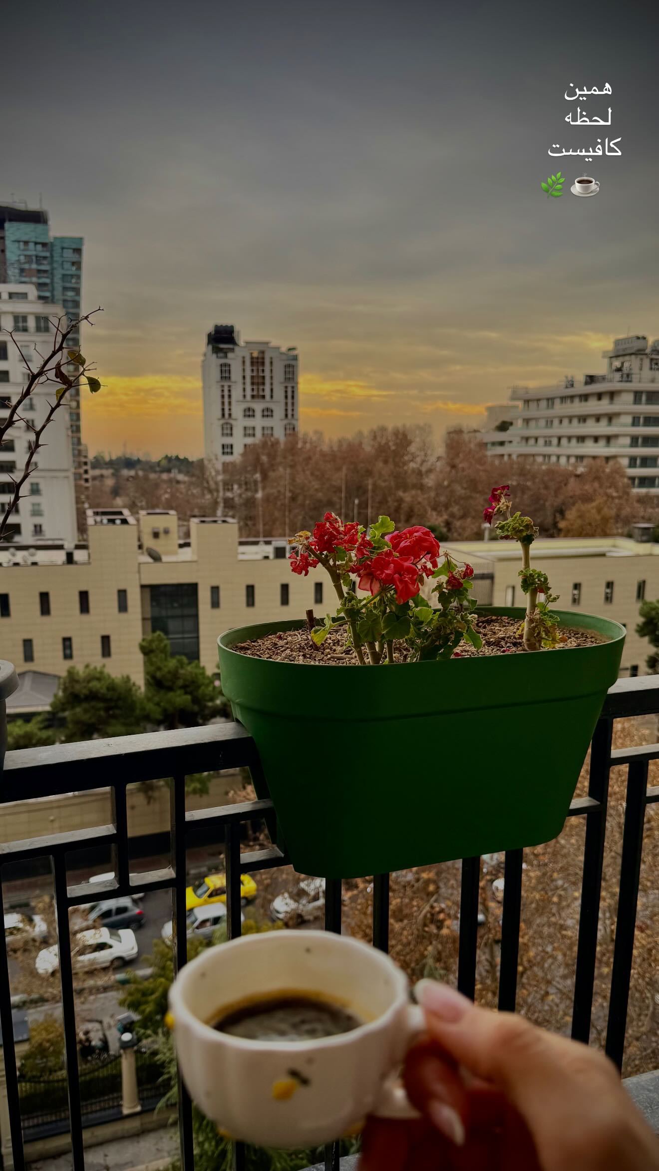  جدید ترین استوری اینستاگرام ستاره معصومی