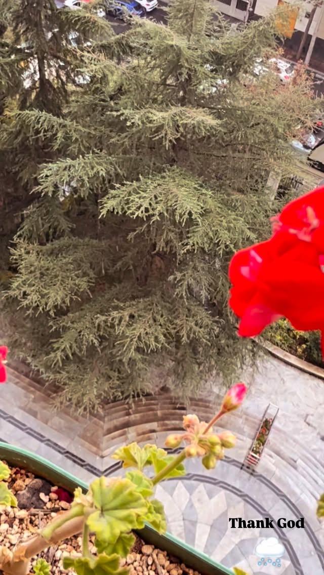  جدید ترین استوری اینستاگرام ستاره معصومی