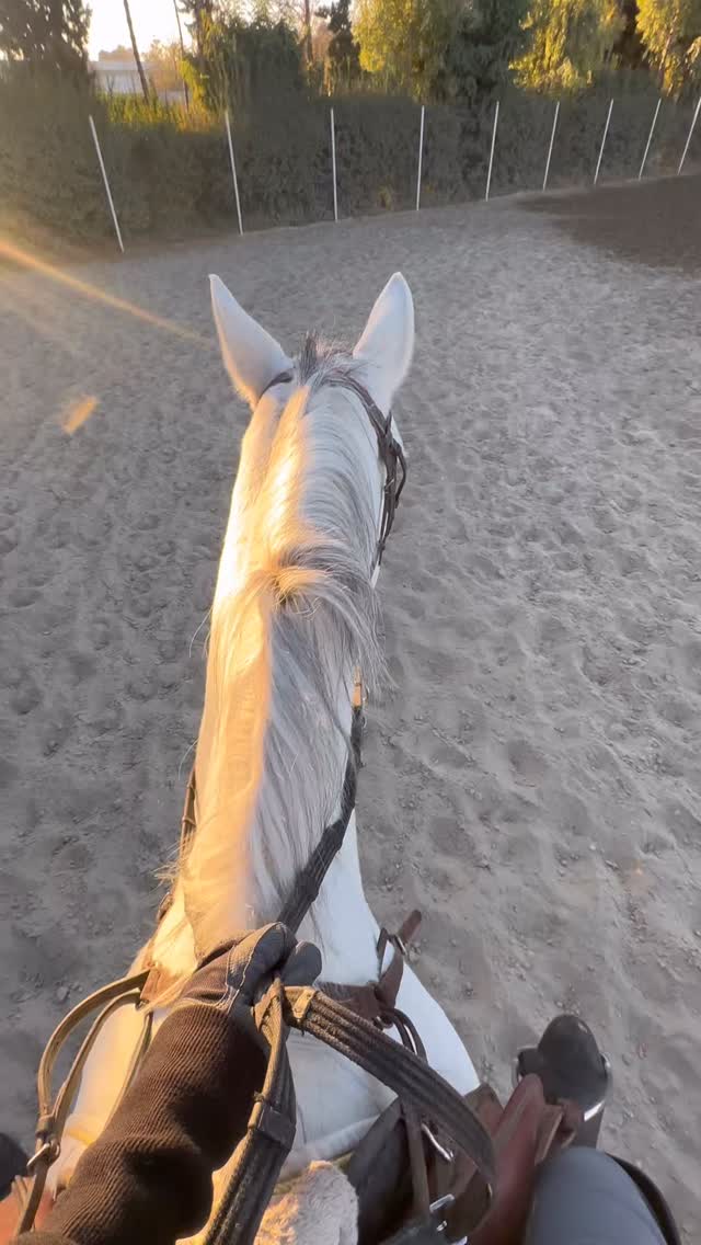  جدید ترین استوری اینستاگرام ستایش موسوی