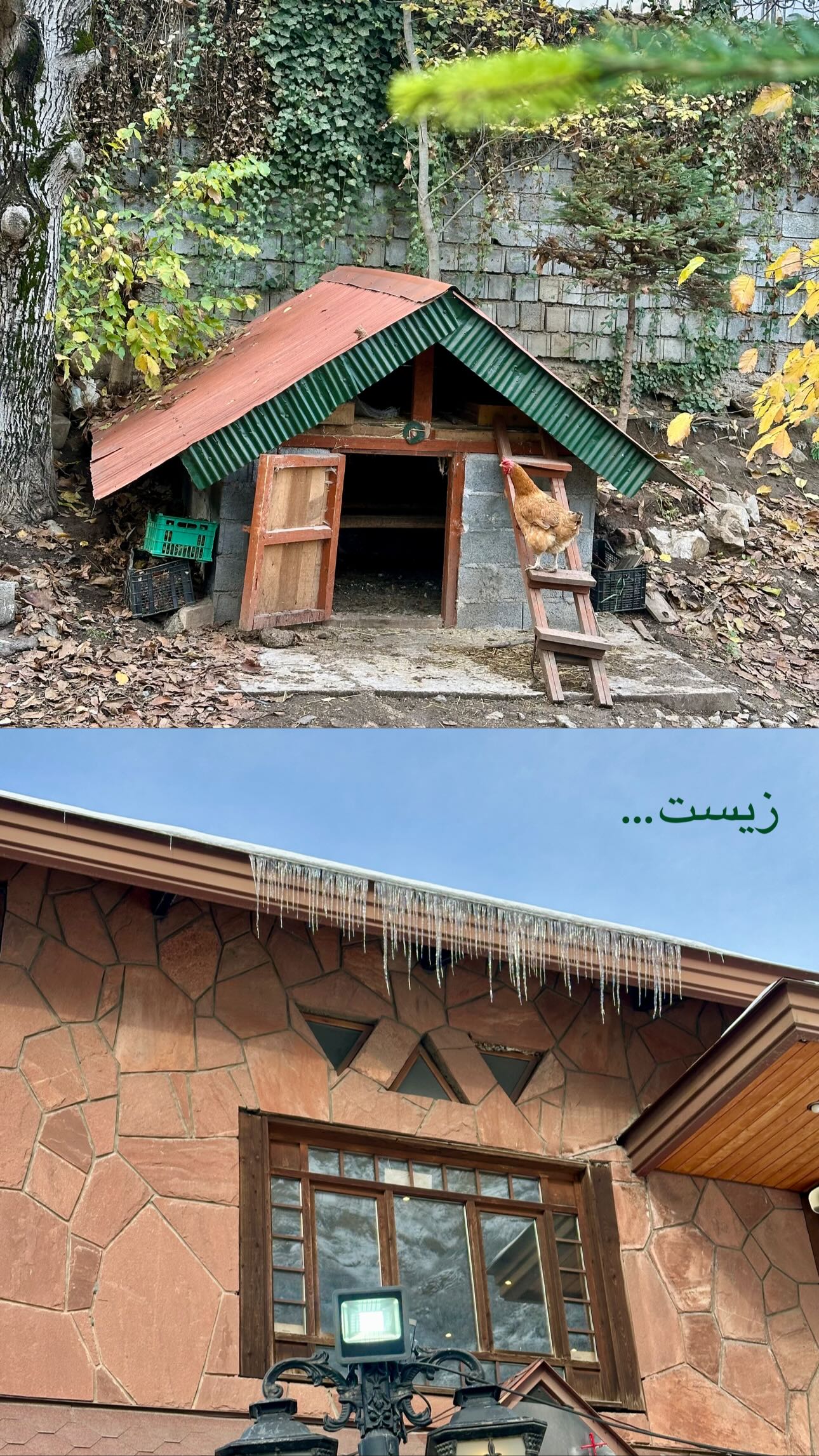  جدید ترین استوری اینستاگرام ستایش موسوی