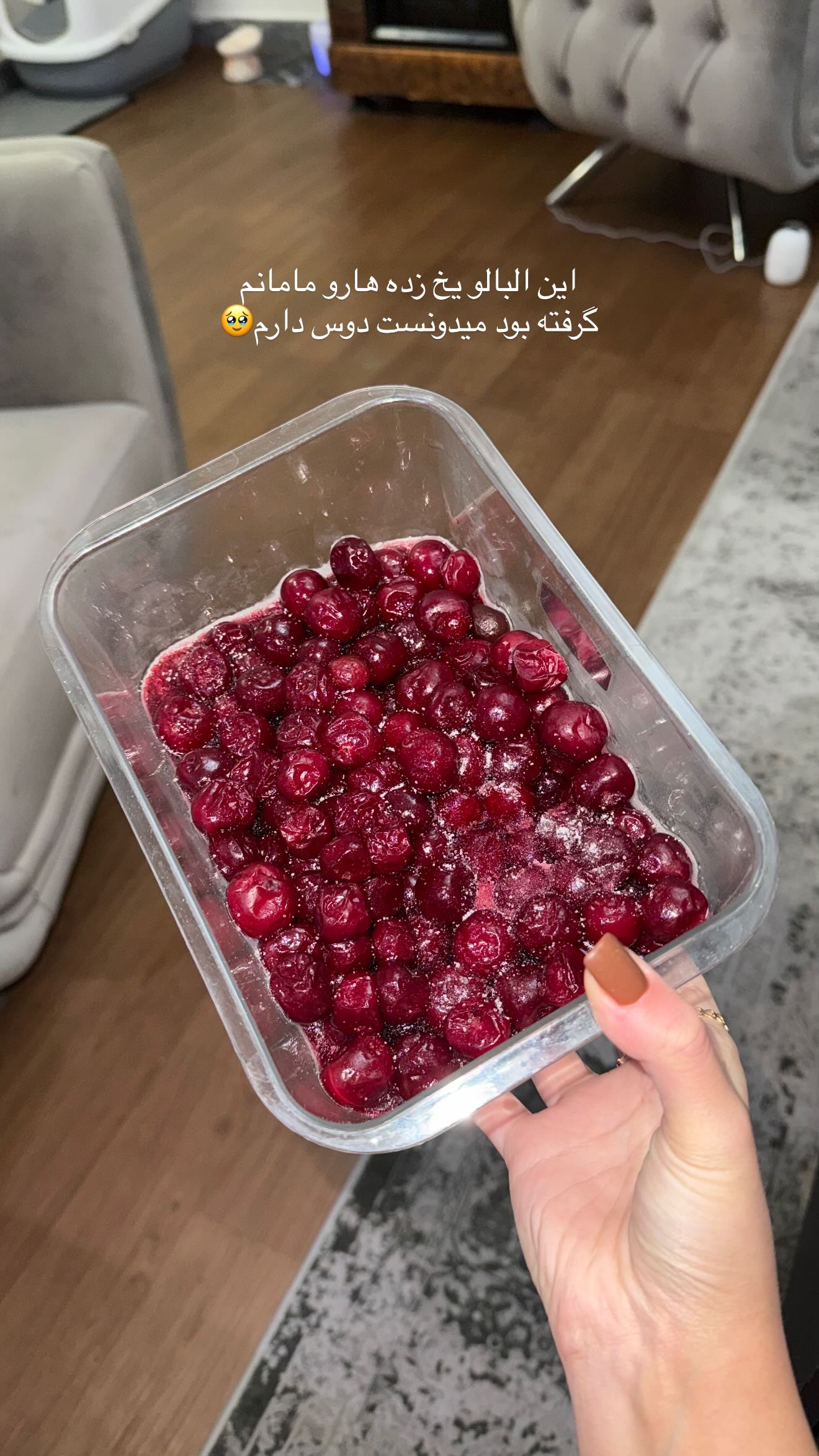  جدید ترین استوری اینستاگرام سوین خدا پرست