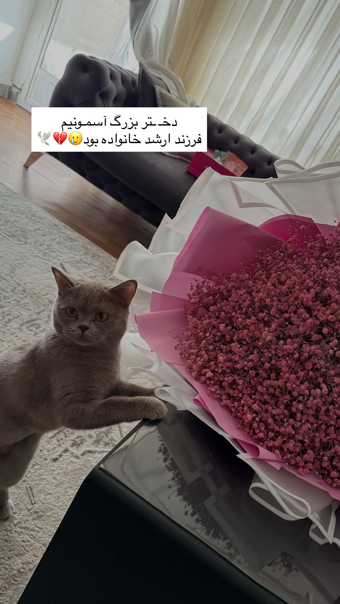  جدید ترین استوری اینستاگرام سوین خدا پرست