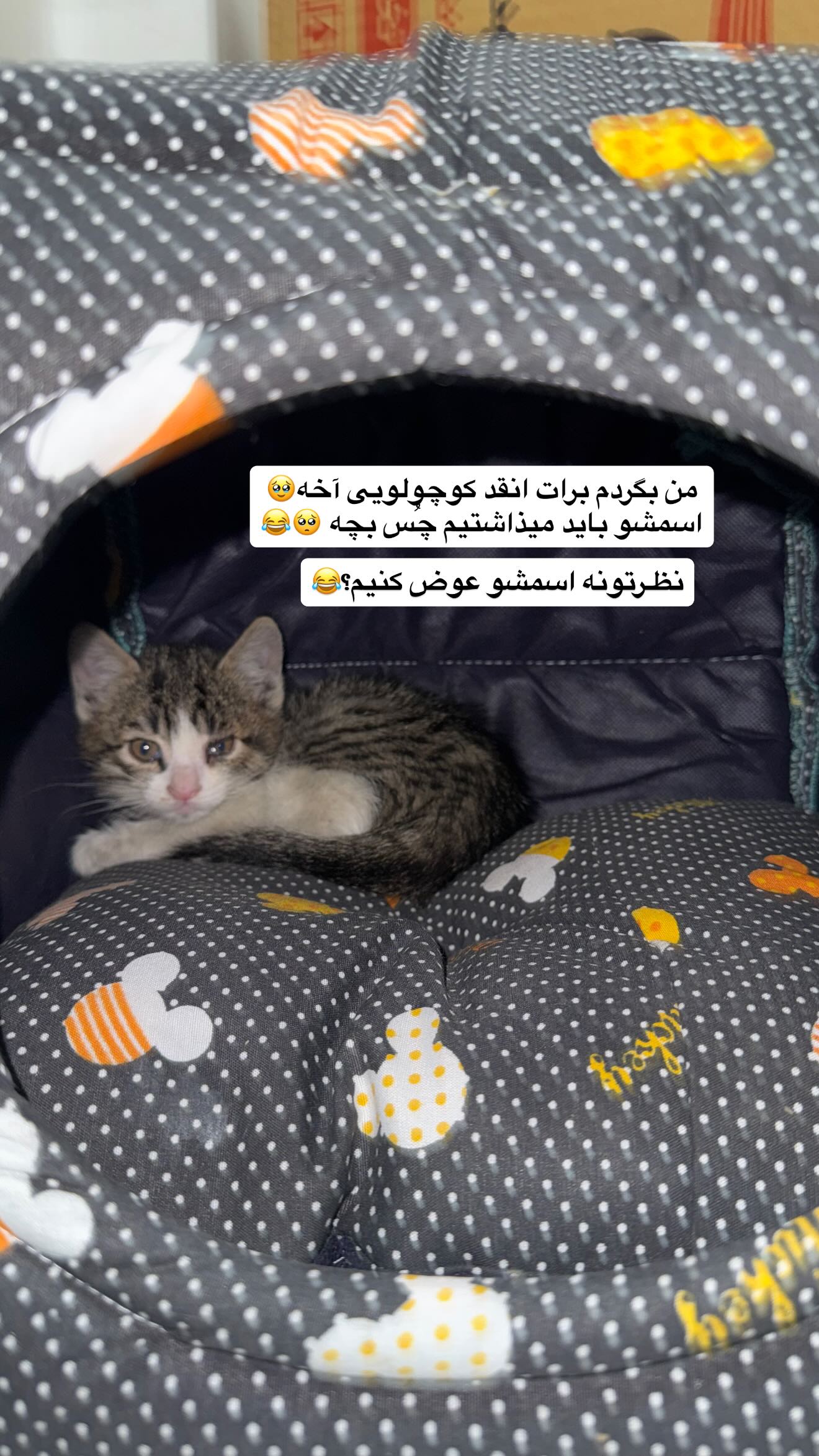  جدید ترین استوری اینستاگرام سوین خدا پرست