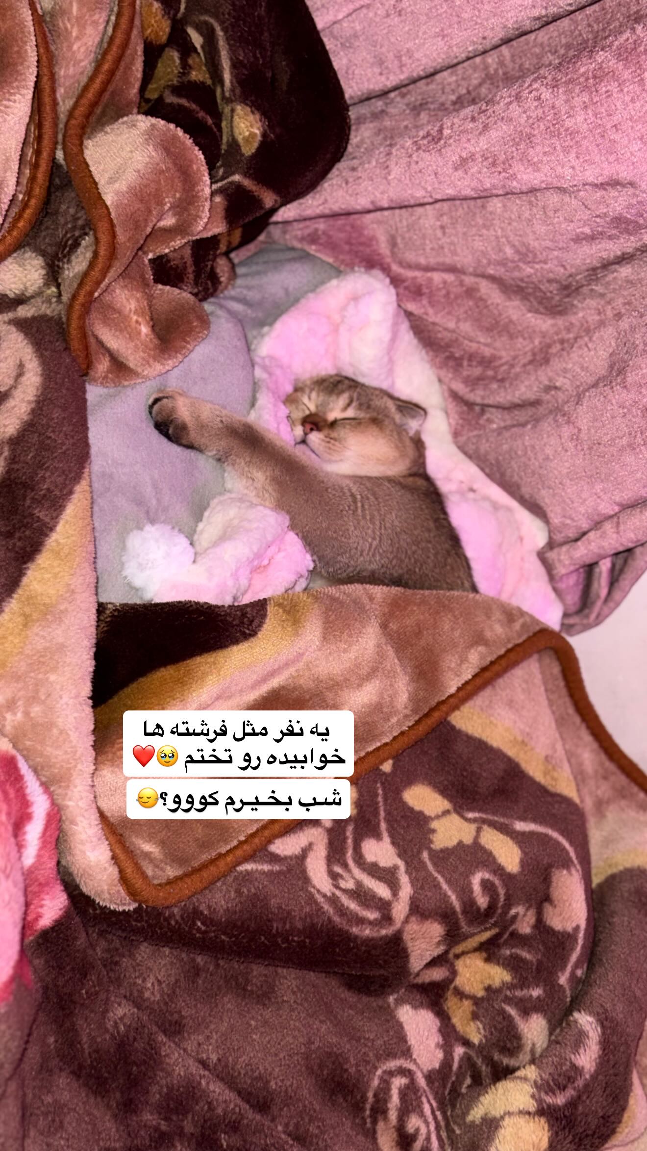  جدید ترین استوری اینستاگرام سوین خدا پرست
