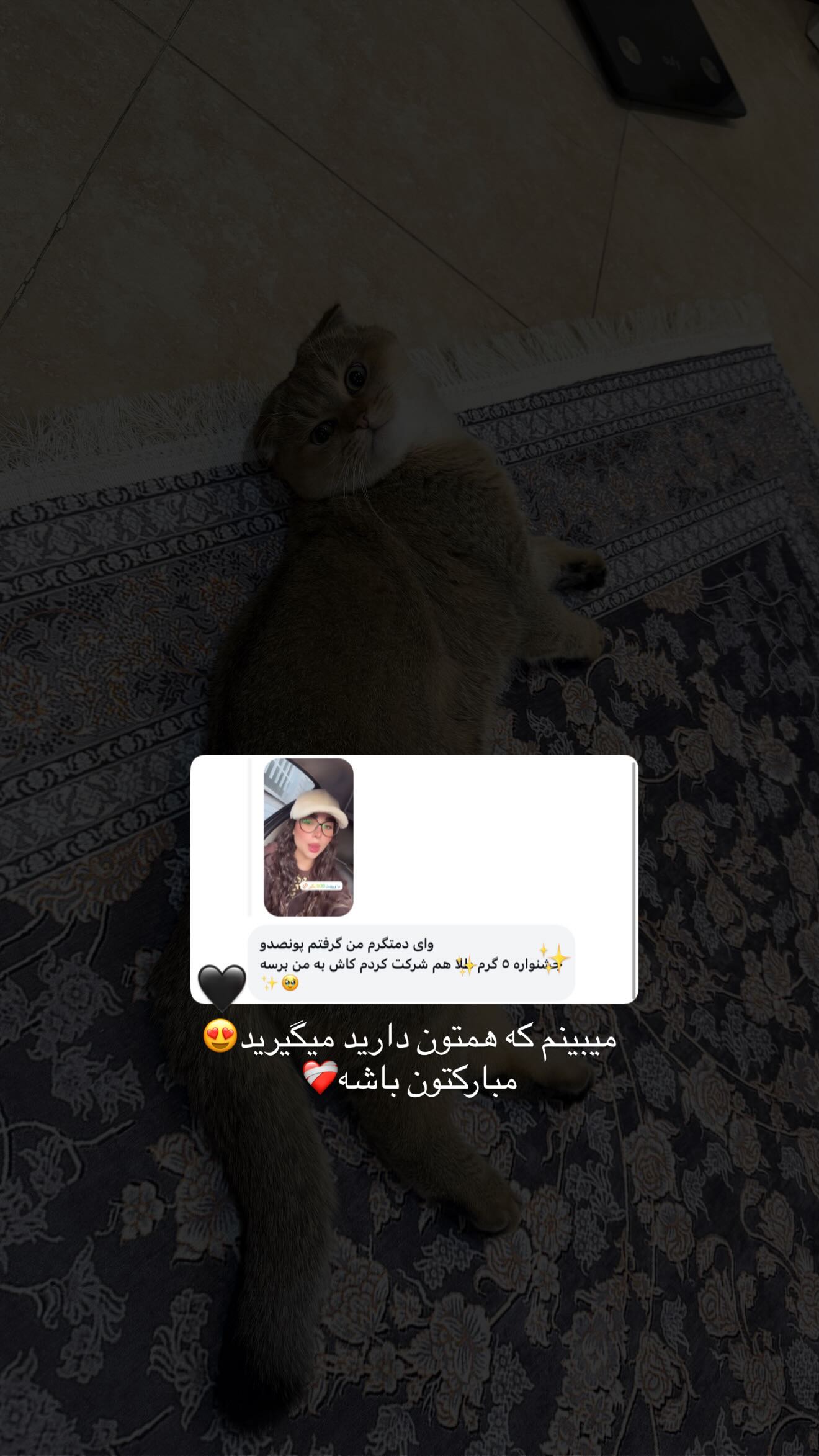 جدید ترین استوری اینستاگرام سوین خدا پرست