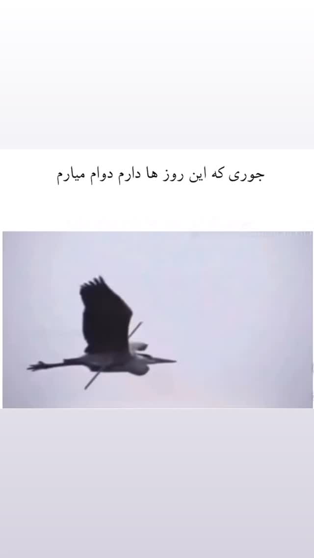  جدید ترین استوری اینستاگرام سوین خدا پرست