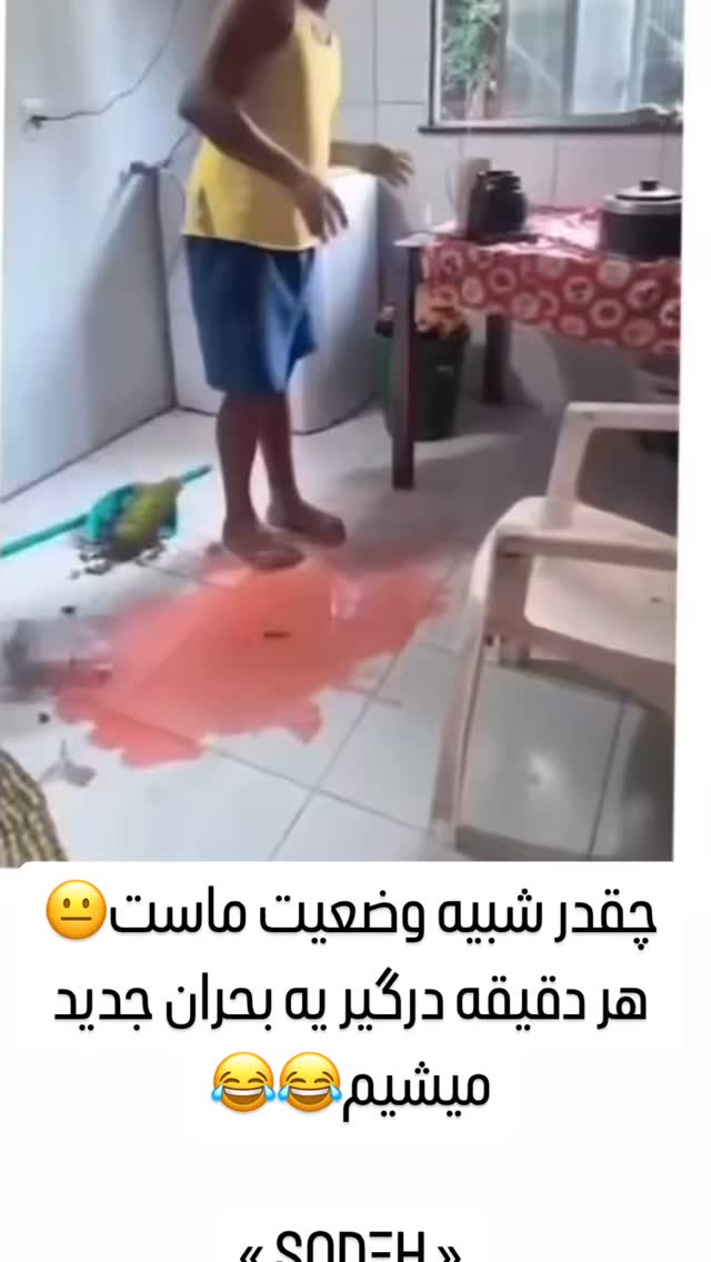  جدید ترین استوری اینستاگرام مصطفی تاجزاده