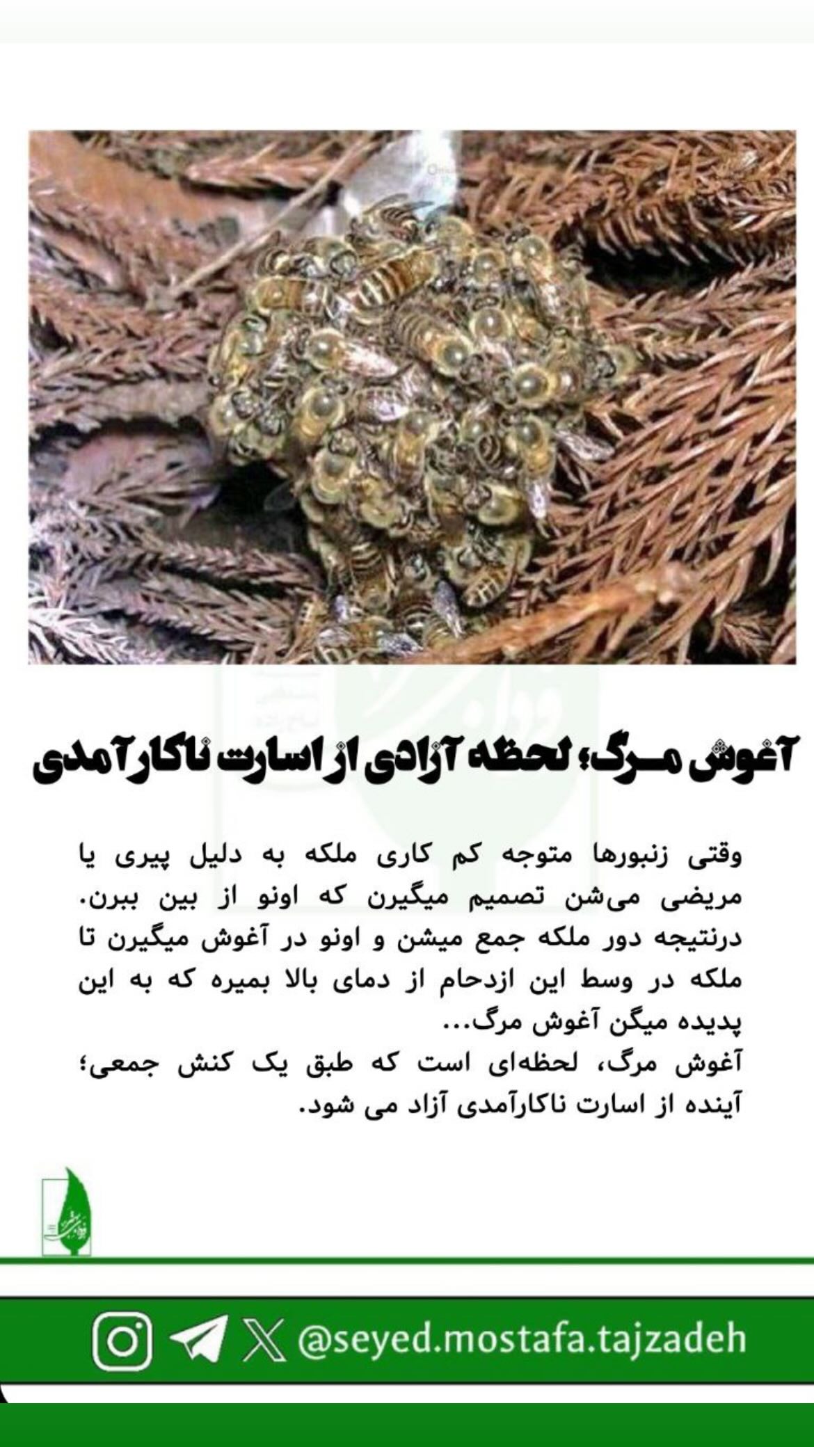  جدید ترین استوری اینستاگرام مصطفی تاجزاده
