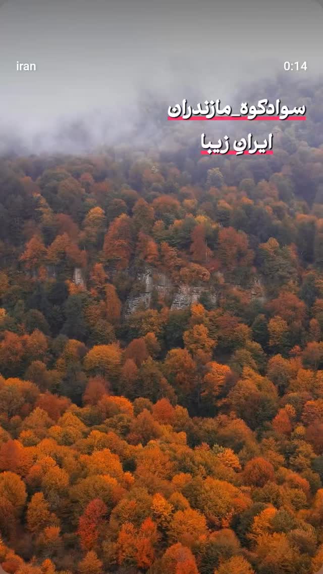  جدید ترین استوری اینستاگرام مصطفی تاجزاده